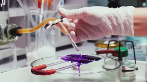 Un assistant de laboratoire teste la qualité de la confiture avec des outils en laboratoire