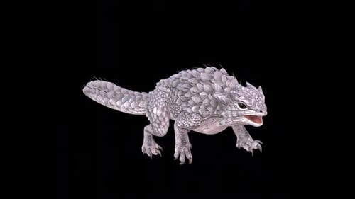 Spiny Lizard Swim