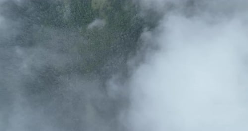 Forest Landscape Seen from Above White Clouds