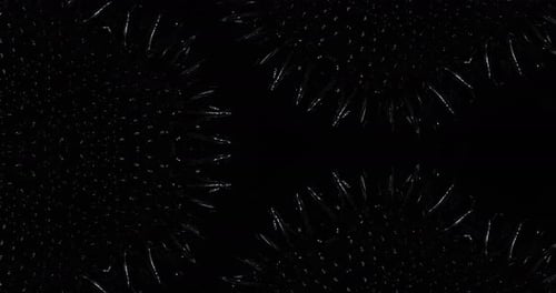 Spiky Reflective Abstract Morphing Particles Background