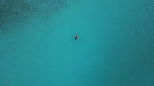 stand up paddling in blue sea. Great aerial view flight vertical bird's eye view drone
beach forment