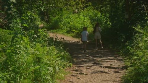 Little Brother and Sister Stand on Shaded Path in Forest