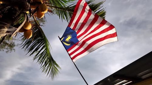 Drapeau de la Malaisie agitant sous un cocotier avec un ciel radieux