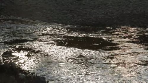 River B-roll: el espectral sol matutino refleja la plata en el agua del río