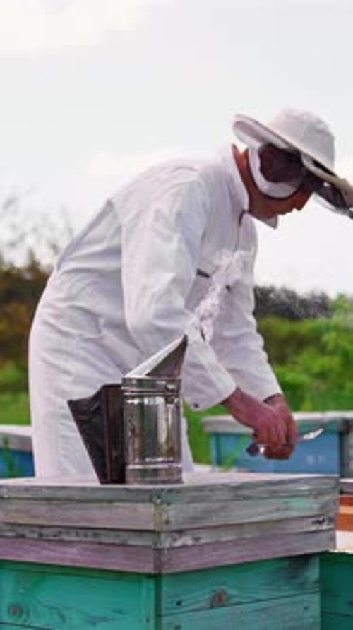 Beekeeper Inspecting Honeycomb Frame in Rural Apiary