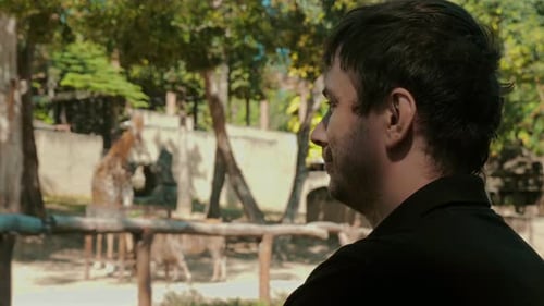 Wildlife Enthusiast Captures Giraffe on Camera at Open Zoo