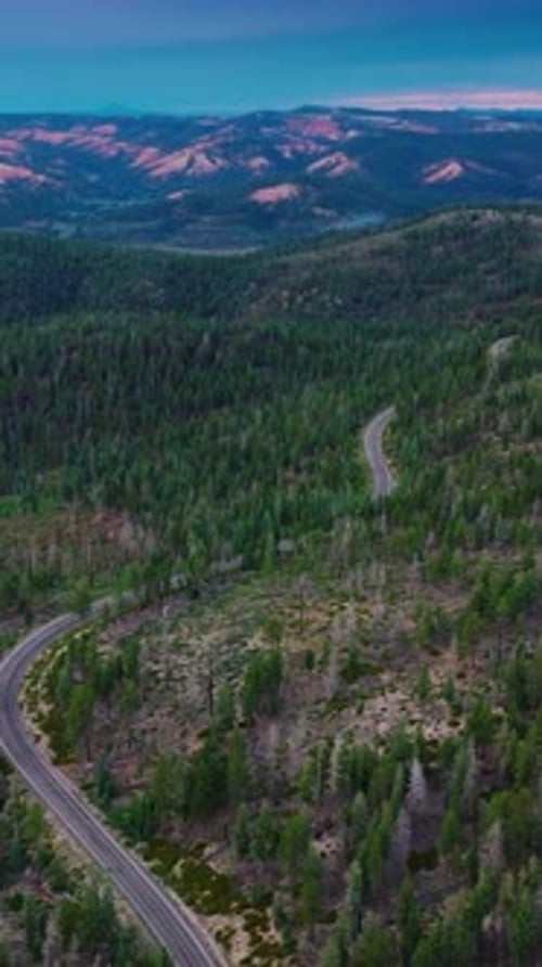 Autopista ondulada que pasa por los bosques de pinos que cubren las montañas.