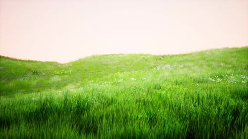 Tuscany Landscape with Beautiful Green Hills Springtime