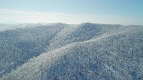 Aerial Winter Mountain Landscape of a Frozen Forest with Snow and Ice Covered Trees on a Sunny