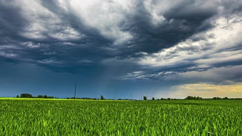 Green Field with Approaching Storm Clouds