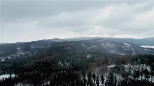 Aerial View of Forest and Snow-capped Mountains in Winter