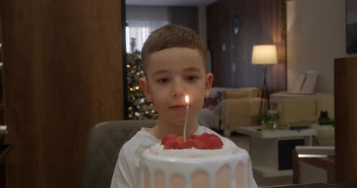 Boy Makes Wish on Birthday Cake Candle