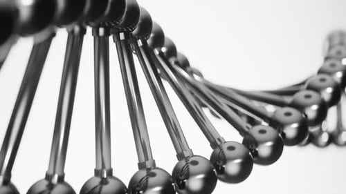 Black And White Dna