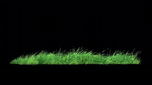 Grass Wind Loop on Alpha 4K.