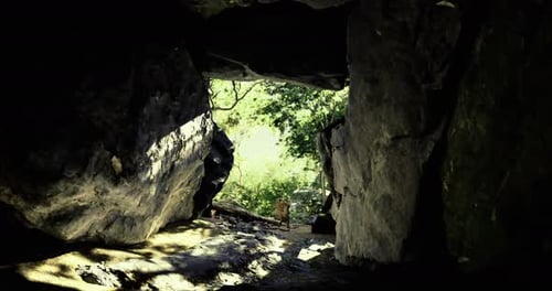 Exploring the Hidden Wonders of a Cave Surrounded By Lush Greenery