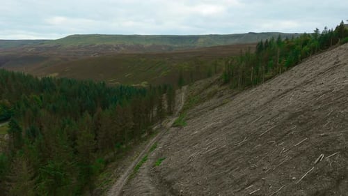 Cutting Down Forest Covering Hillside Creating Empty Wasteland Tree Felling Removing Greenery