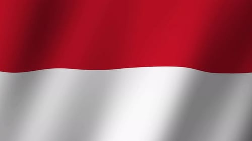 Modern Waving Flag Background Animation