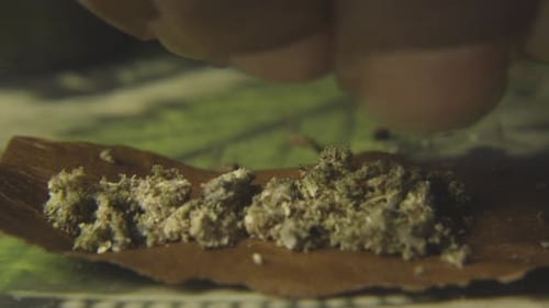 Finger Spreading Granular Material on a Brown Leaf