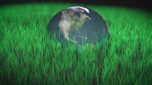 Earth globe lies in dense tall green grass as concept for sustainability, green planet