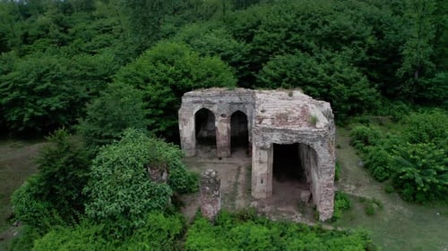 Ancient Ruins in the Forest Drone Footage
