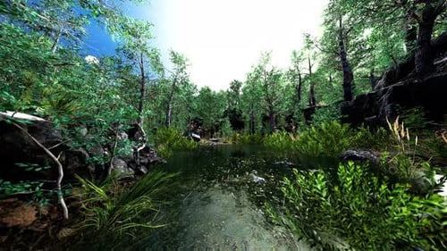 Small Pond in the Forest with Moss Covered Rocks