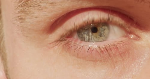 Nahaufnahme eines Mädchenauges mit langen Wimpern Schönes grünes Auge einer jungen Frau, die sich öffnet und