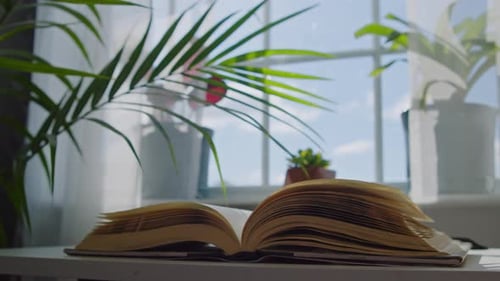 Open Book with Flipping Pages by Window
