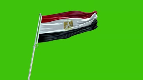 Waving Egypt National Flag on Green Screen
