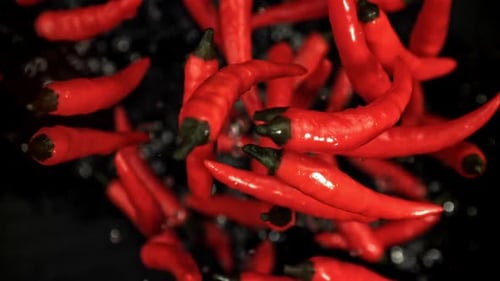 Red Chili Peppers Fly Up and Fall Down, filmado em uma câmera de alta velocidade a 1000 Fps