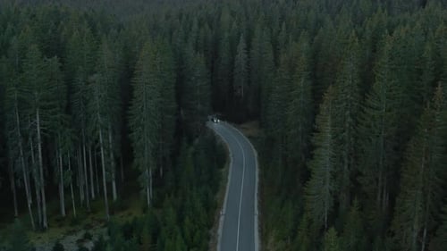 Amazing drone shot of a black car going fast on a mountain road in between spruce forest in evening