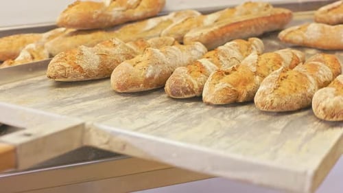 Baguettes von einer Schaufel abladen