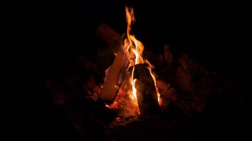 Firewood