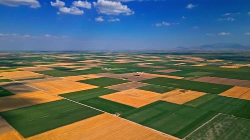 Amplias tierras de cultivo en una vasta llanura - Vista aérea 2K