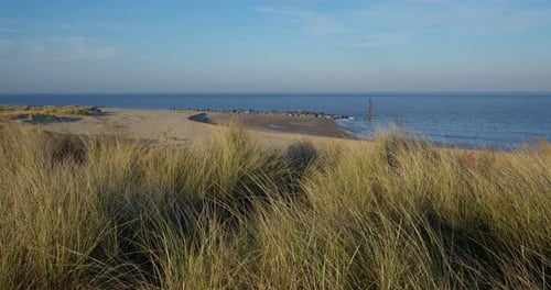 shots looking north of the sand dunes and Marram grass at Caister on Sea