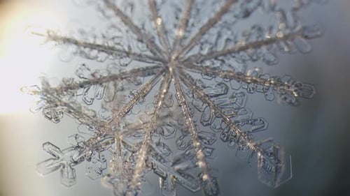 Schneeflocken-Eiskristalle, stellare Dendriten unter dem Mikroskop, Makro, große Vergrößerung, Nahaufnahme