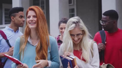 Cheerful multiethnic university students walking together on college campus