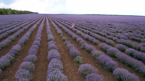 Girl walking in a lavender field