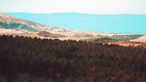 Sand Desert with Some Grass