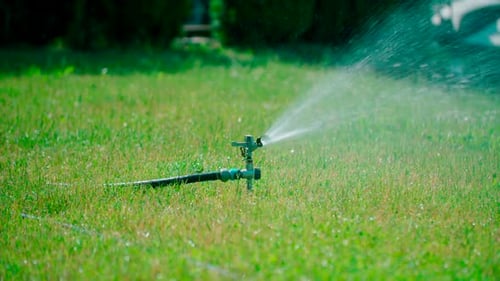 Vista de perto do aspersor de gramado do jardim regando grama, Rega de grama com irrigação por aspersão s