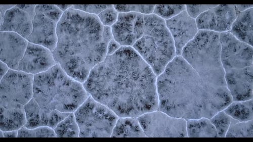 Crusty cracked salty plain on the ground.