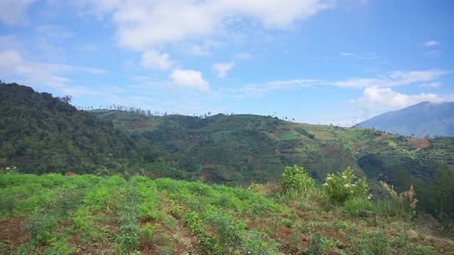 beautiful mountain natural scenery natural panorama of hills, with forest of tall green trees