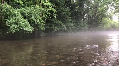 Flowing river through a dense forest.