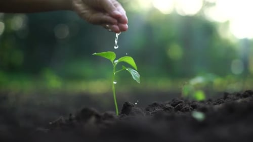 Plant safe world concept
