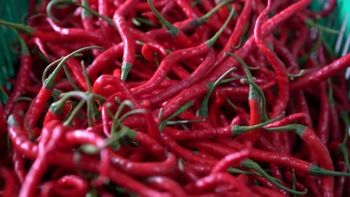 pimentão vermelho