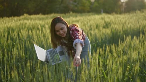Farmer or researcher check and gather information barley rice farm field for Agricultural research