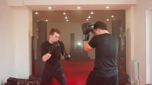 MMA Fighter Training Inside Gym Facing Opponent in Sparring Stance
