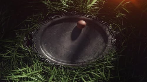 Script text Season of Renewal on vintage tray with egg.