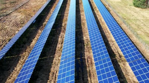 Clean Electricity: Rows of Photovoltaic Panels in a Solar Park
