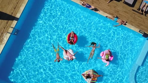 Aerial Friends Chilling in Swimming Pool with Inflatable Flamingo Swan Mattress Happy Young People