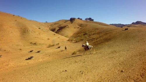 Cowboy on Horseback Traveling on Mountain Range on Sunny Day